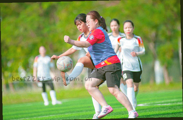 暖橙与青玉色块拼成的区域分布示意图